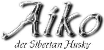Aiko, der Siberian Husky